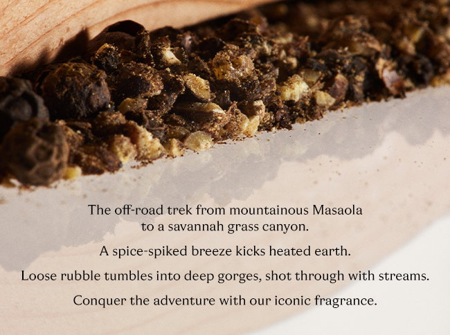 Black Pepper Notes Banner
