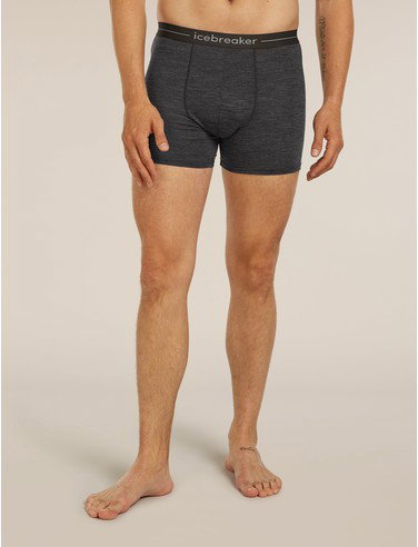 Men's Merino 150 Anatomica Boxers - Jet Heather / M
