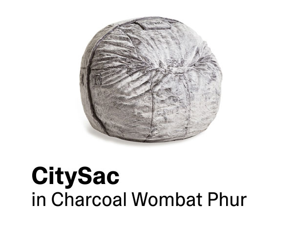 CitySac