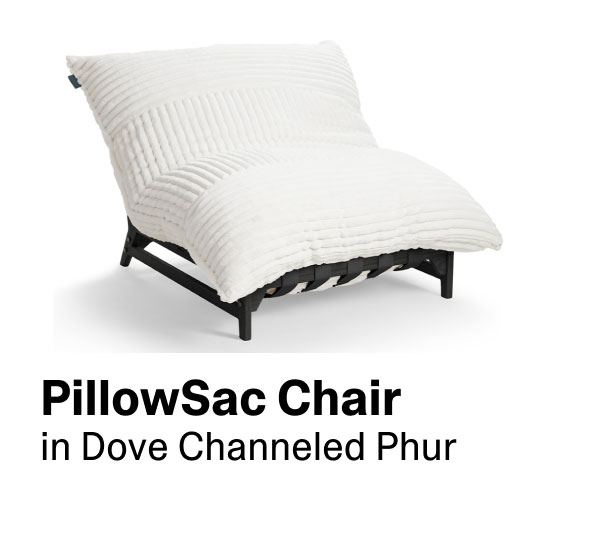 PillowSac Chair