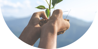 Planting trees