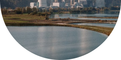 Carbon offset