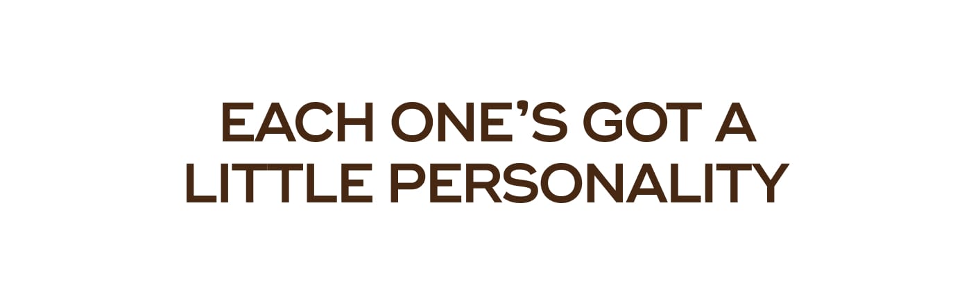 EACH ONE'S GOT A LITTLE PERSONALITY