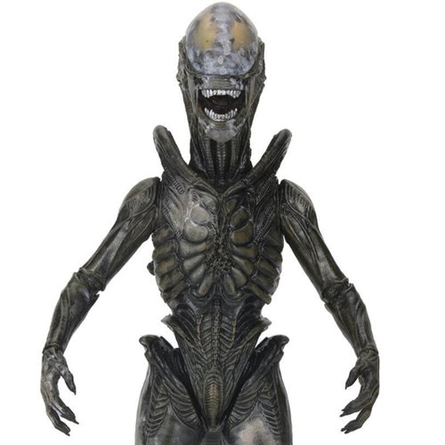 Alien: Earth Ultimate Wendy's Xenomorph 7-Inch Scale Action Figure
