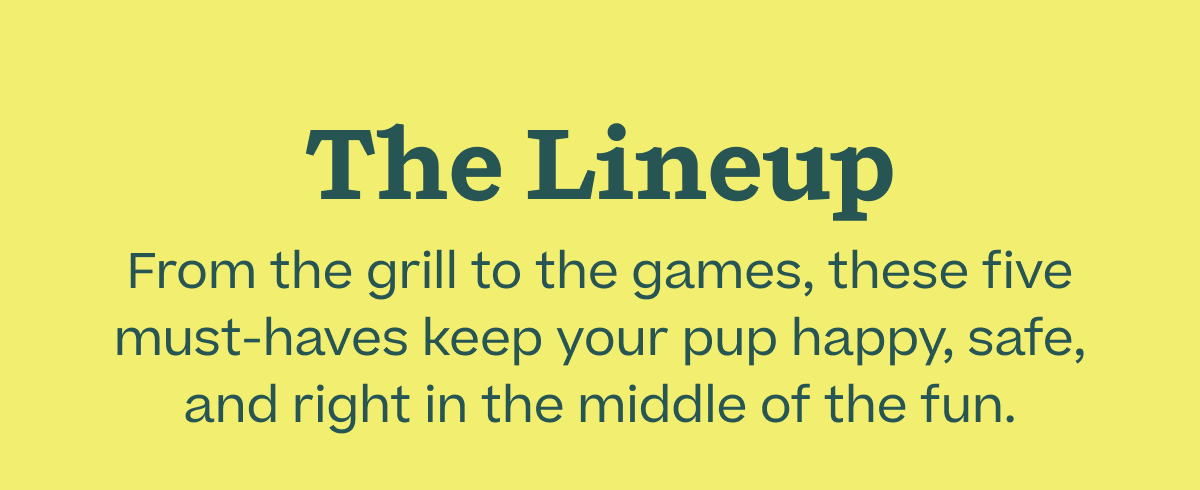 The Lineup: From the grill to the games, these five must-haves keep your pup happy, safe, and right in the middle of the fun | Shop Camp Woof
