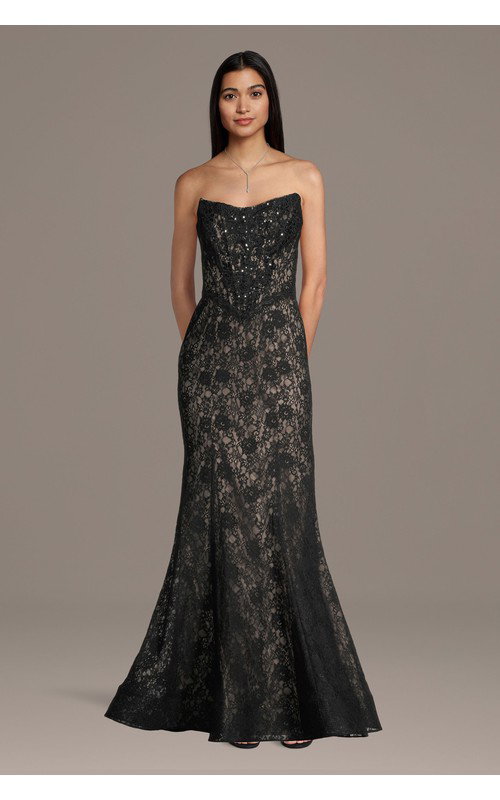 Lace Basque Waist Mermaid Gown