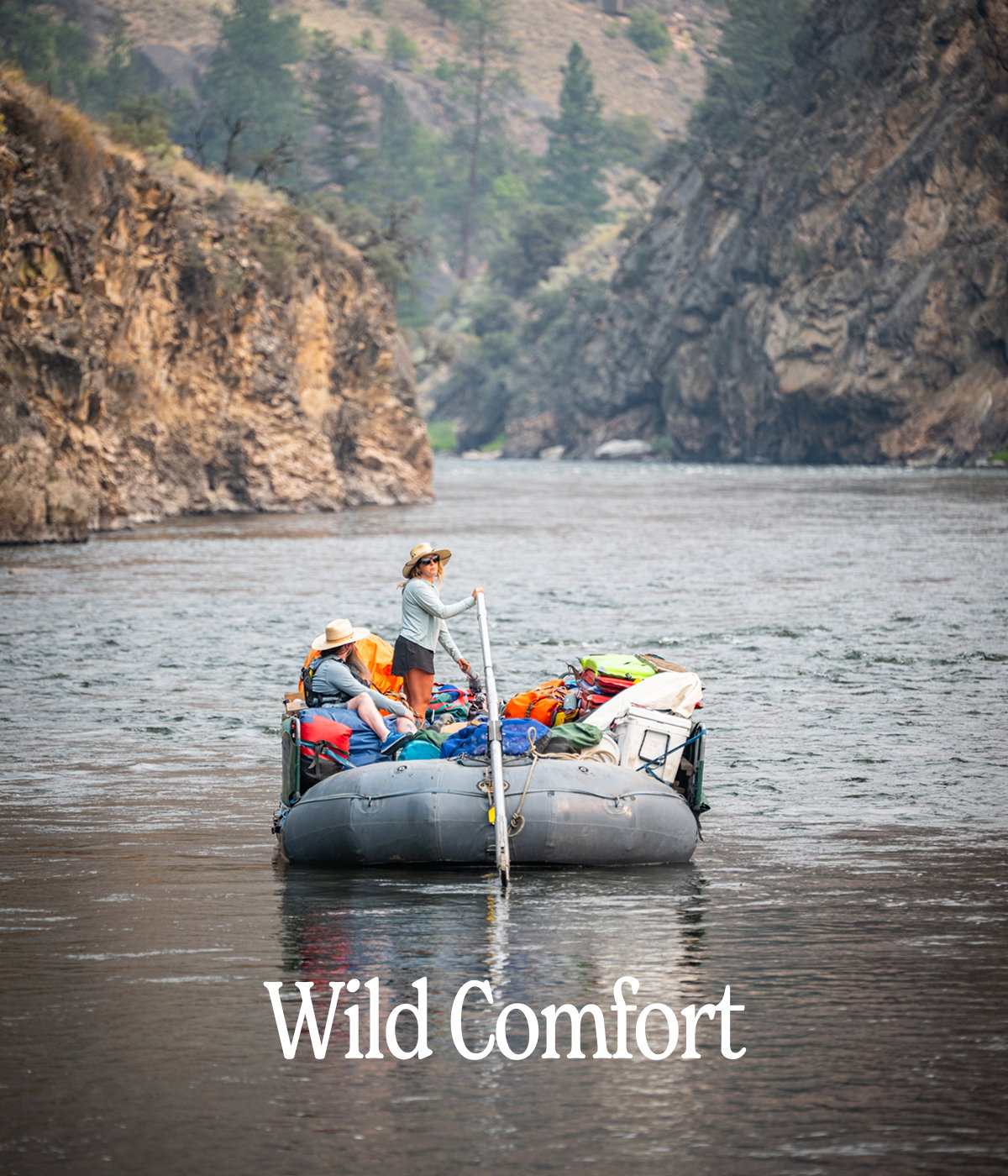Wild Comfort