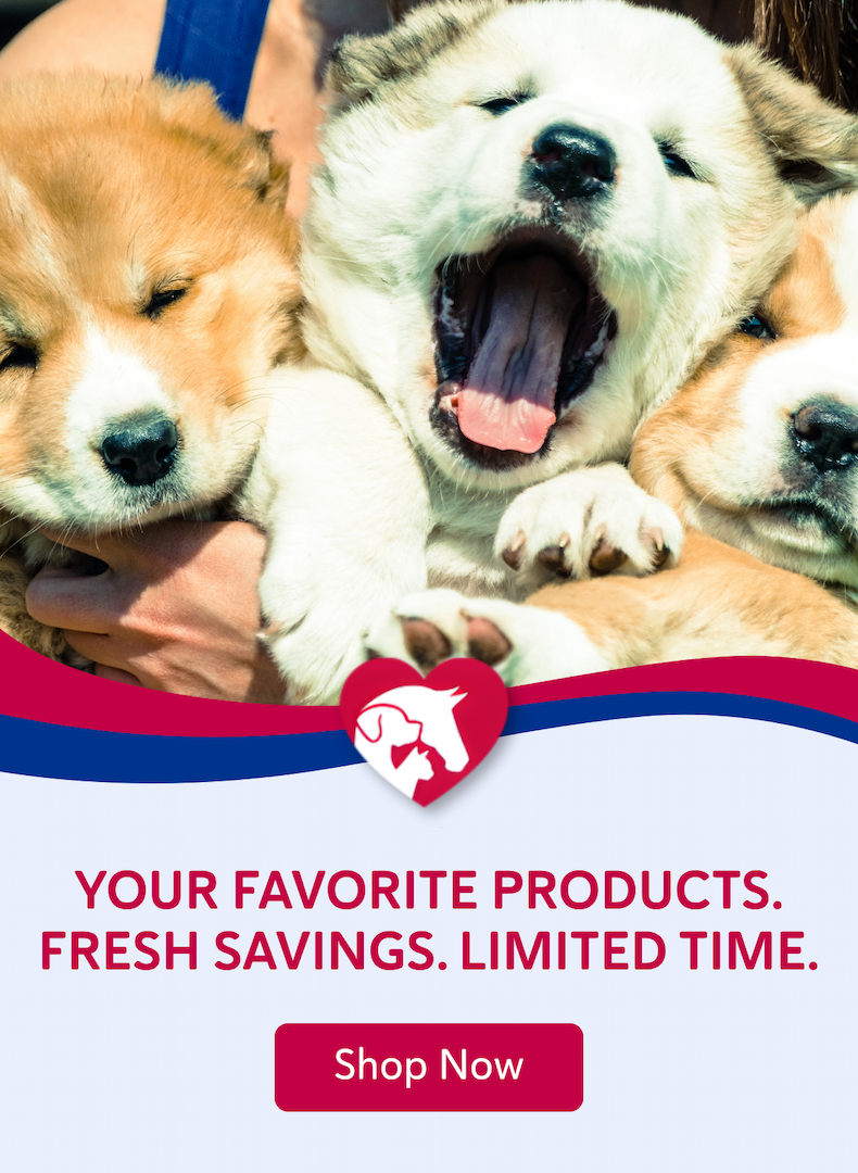 Your favorite products. Fresh savings. Limited time.