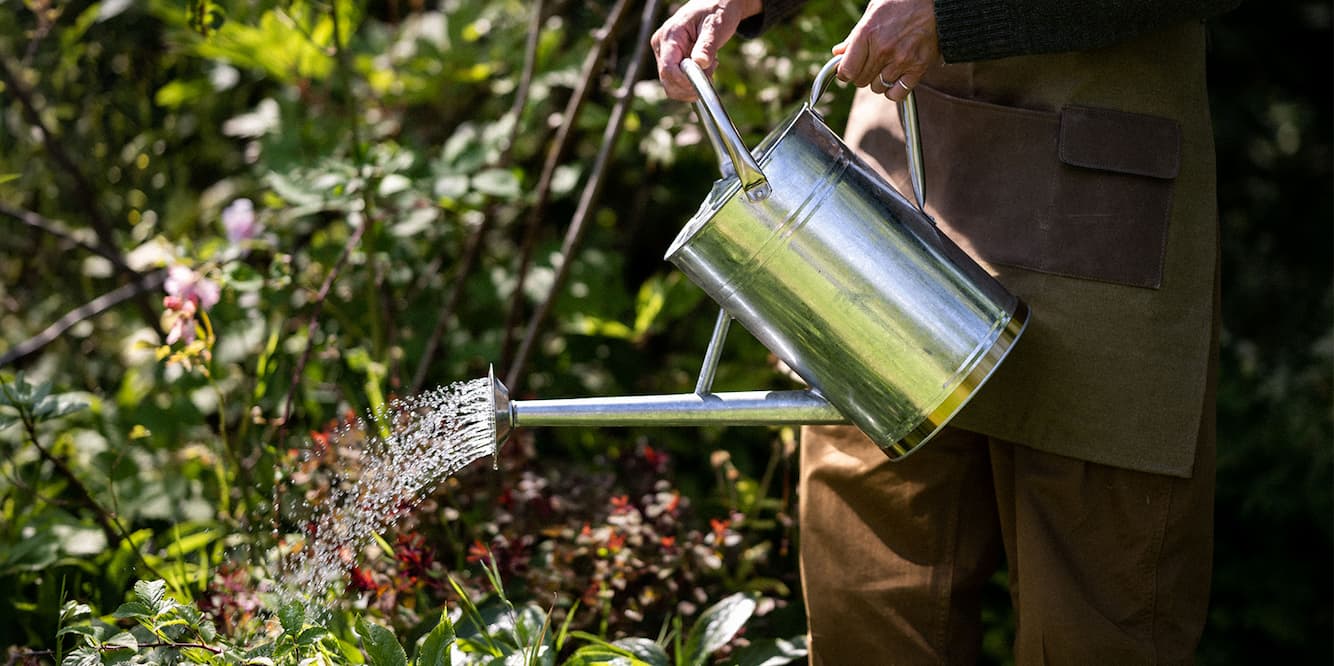 help your garden through the heat