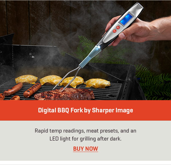 Digital BBQ Fork by Sharper Image