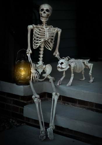Image of Realistic 5FT Poseable Skeleton Prop