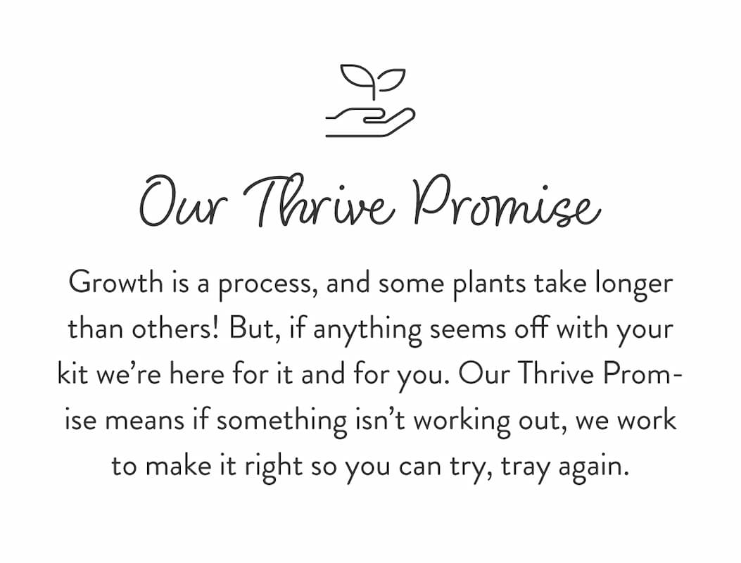Our Thrive Promise: Growth is a process, and some plants take longer than others! But, if anything seems off with your kit we’re here for it and for you. Our Thrive Promise means if something isn’t working out, we work to make it right so you can try, tray again.