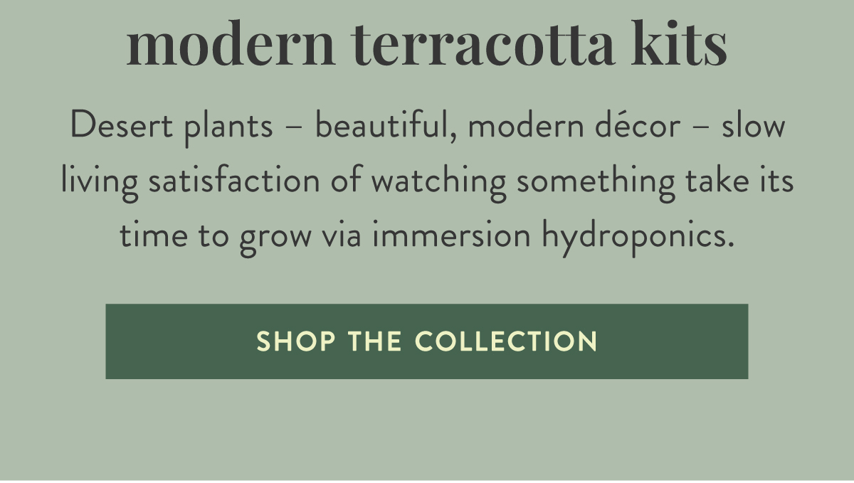 Sunkissed, Slow Living: Desert plants – beautiful, modern décor – slow living satisfaction of watching something take its time to grow via immersion hydroponics. SHOP THE COLLECTION >