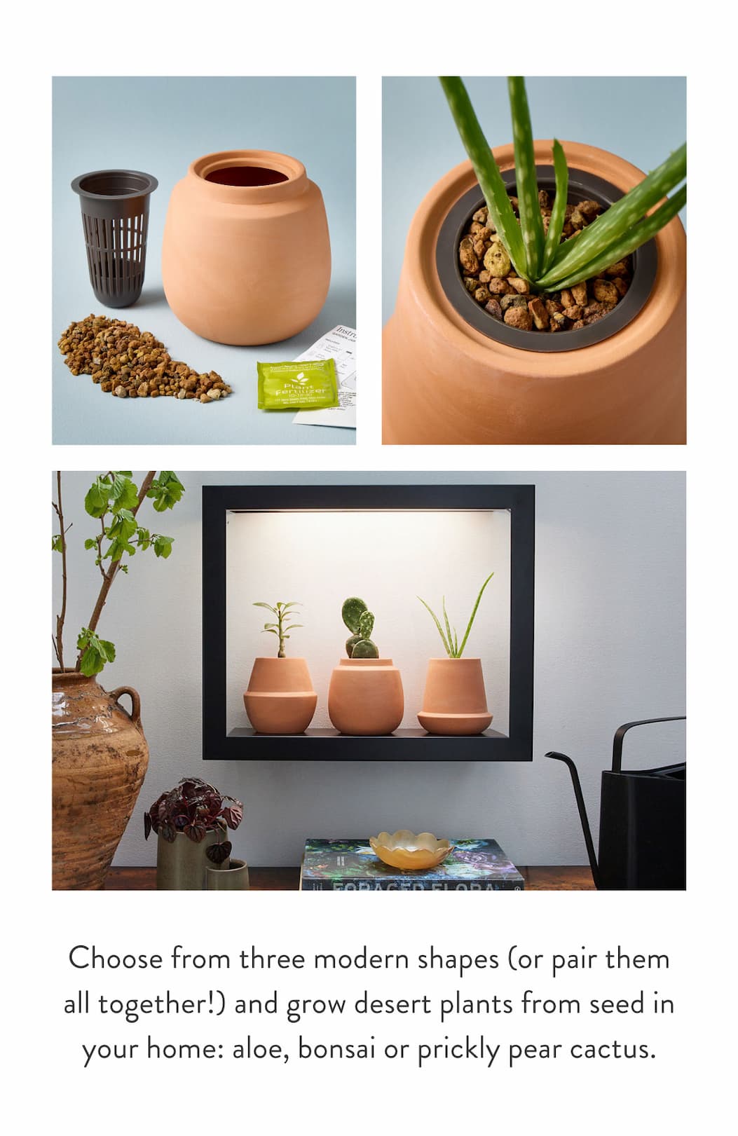 Modern Terracotta Kits: Choose from three modern shapes (or pair them all together!) and grow desert plants from seed in your home: aloe, bonsai or prickly pear cactus.
