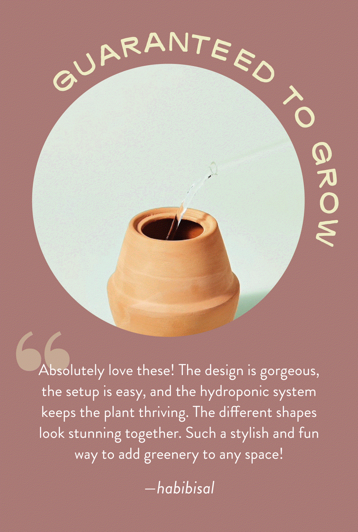 Guaranteed to Grow: "Absolutely love these! The design is gorgeous, the setup is easy, and the hydroponic system keeps the plant thriving. The different shapes look stunning together. Such a stylish and fun way to add greenery to any space!—habibisal"