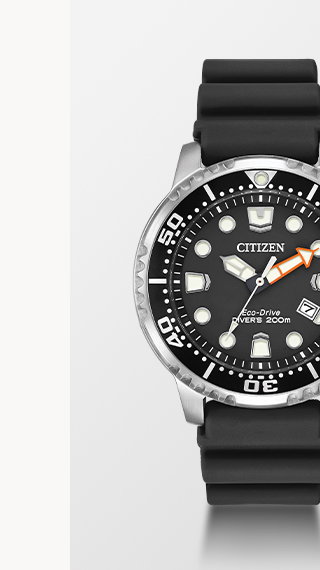 Promaster Dive  -  BN0150-28E