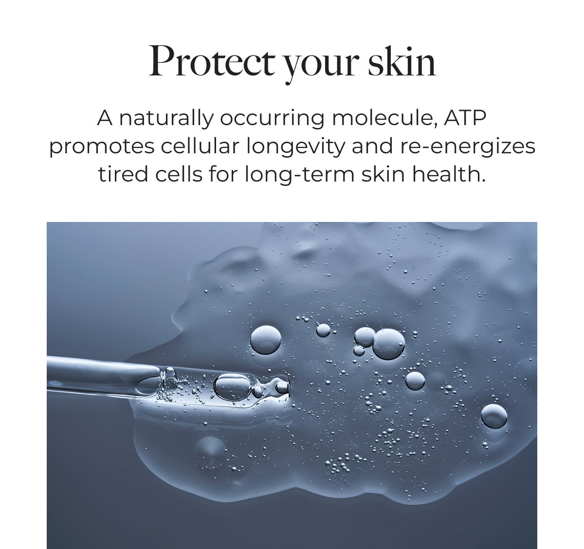 Protect your skin | A naturally occurring molecule, ATP promotes cellular longevity and re-energizes tired cells for long-term skin health.