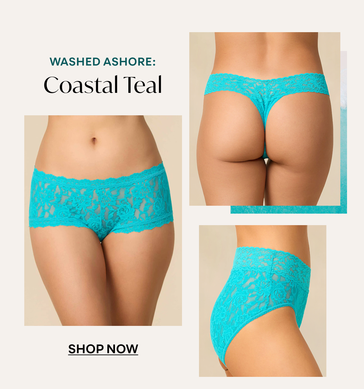 Coastal Teal 