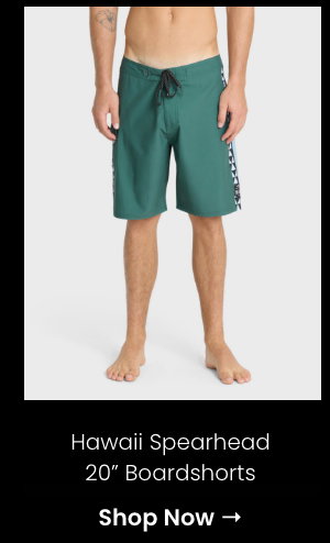 Hawaii Spearhead 20" Boardshorts
