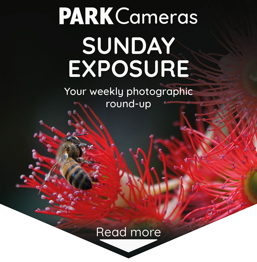 Sunday Exposure Header