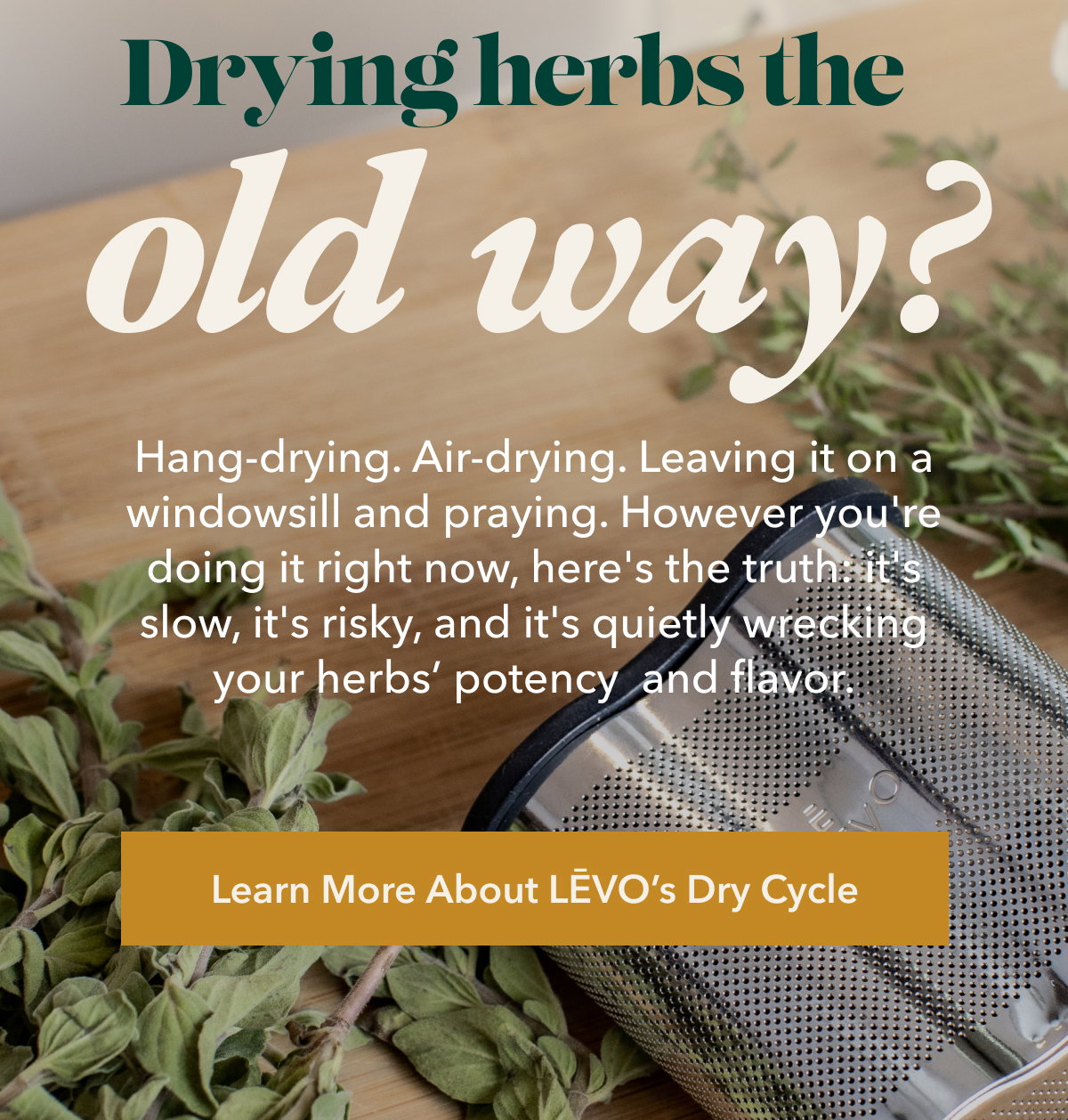 Drying herbs the old way? Hang-drying. Air-drying. Leaving it on a windowsill and praying. However you're doing it right now, here's the truth: it's slow, it's risky, and it's quietly wrecking your herbs’ potency  and flavor. [Learn More About LĒVO’s Dry Cycle]