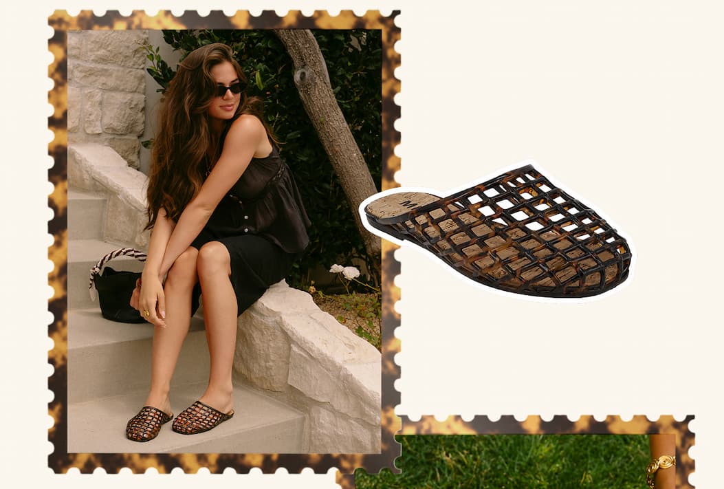 Darby In Tortoise