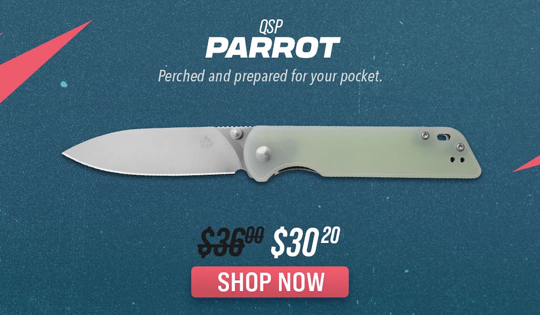 QSP Parrot