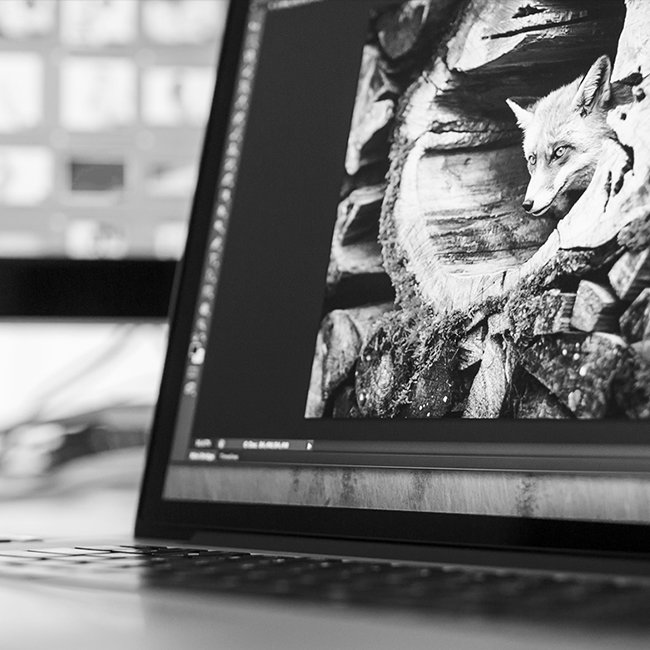 Online-Workshops