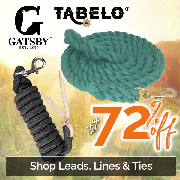Up to 72% Off Leads, Lines & Ties