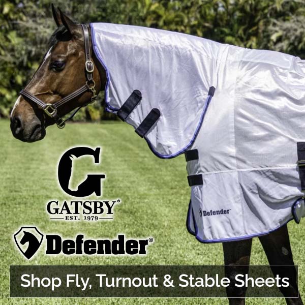 Need Seasonal Horse Clothing? Shop our Fly, Turnout & Stable Sheets.