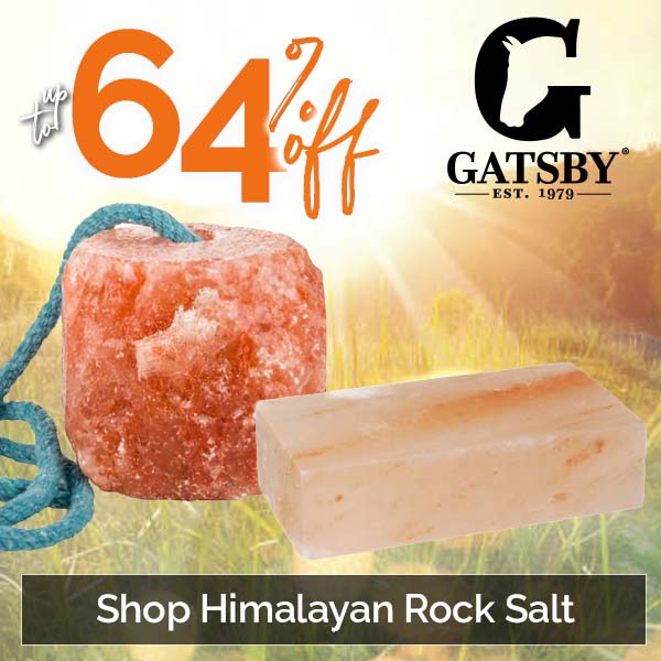 Up to 64% Off Gatsby Himalayan Rock Salt