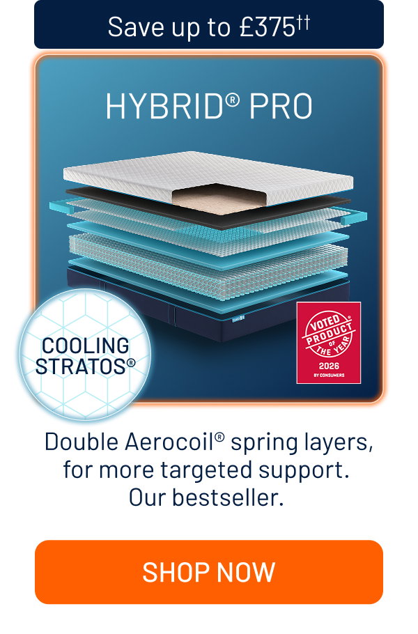 Hybrid Pro