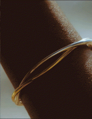 Entwined Two-Tone Open Bangle