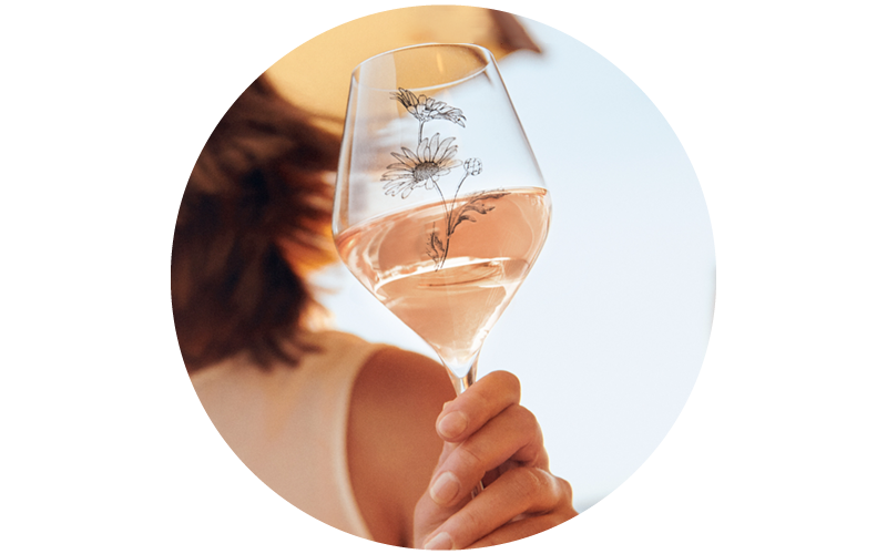 Sunlit hand holding a wine glass of rosé with daisy engraving and blurred warm background