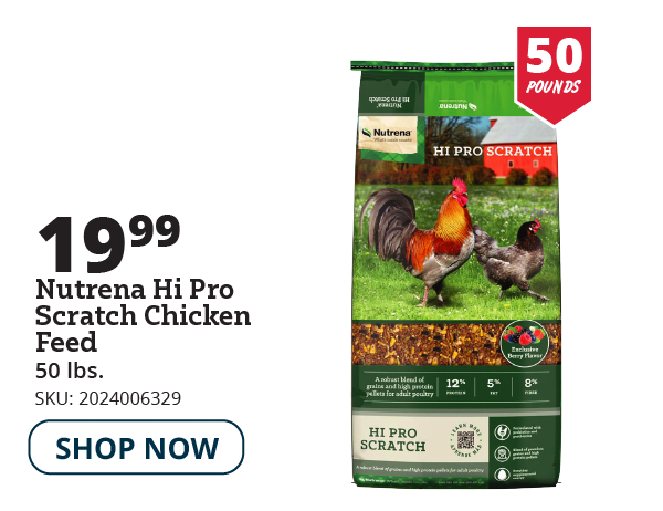 nutrena scratch feed