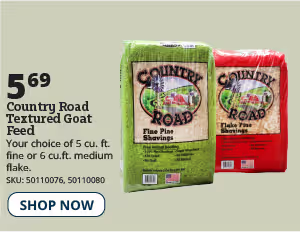 cr pine shavings