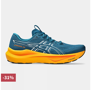Asics Mens GT 2000 14 Shoes