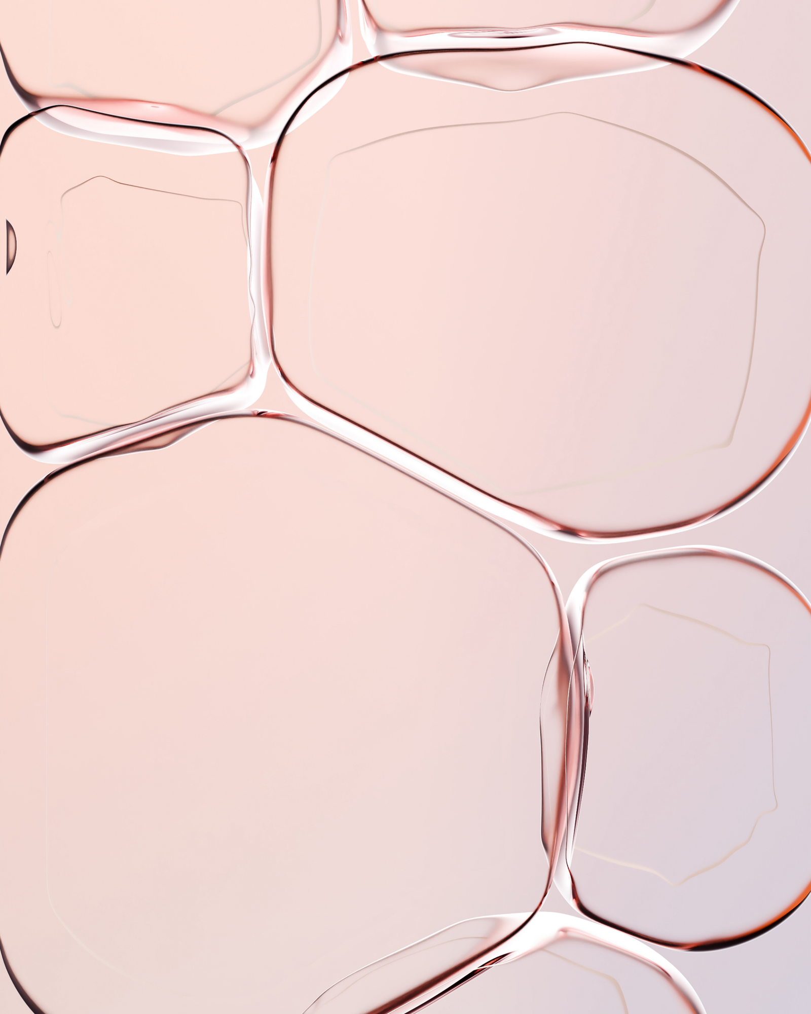 What’s the difference between probiotics and prebiotics?
