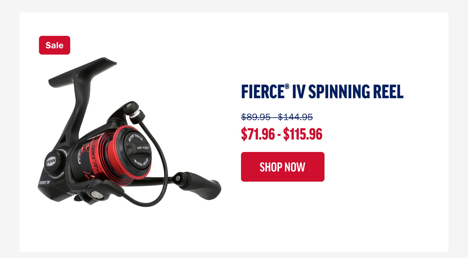 Fierce IV Spinning Reel 