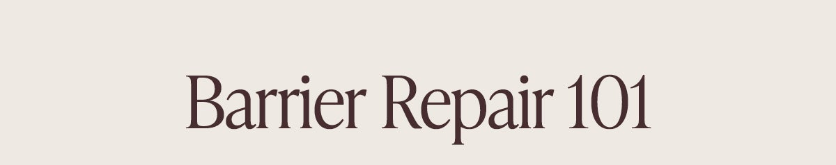 Barrier Repair 101 