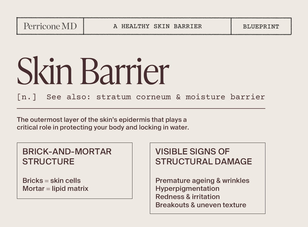 Skin Barrier 