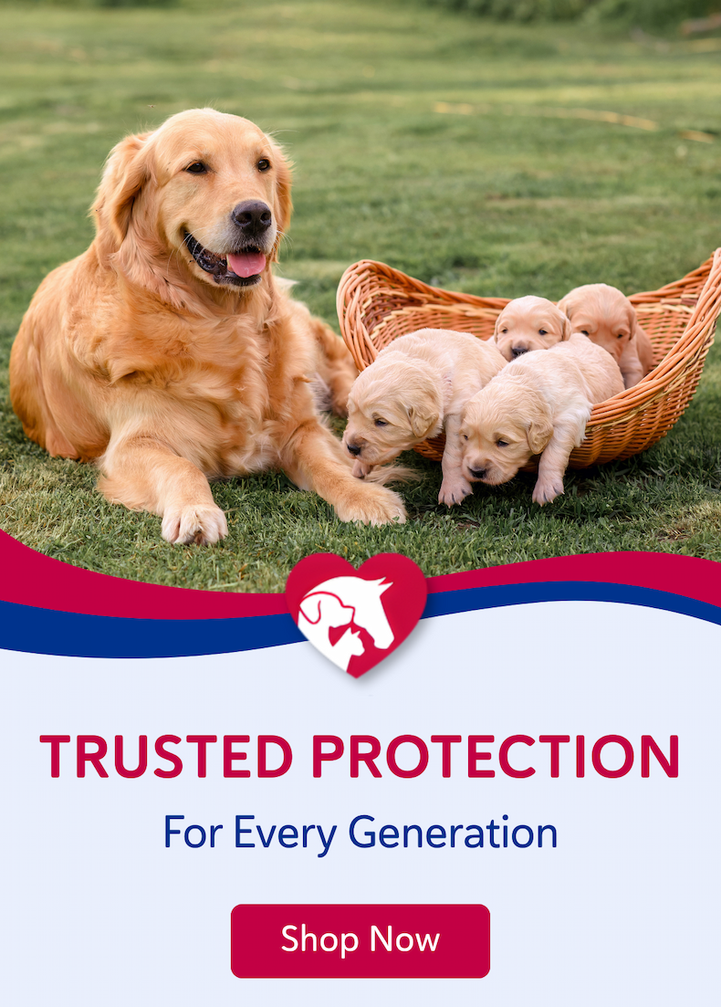 Trusted Protection for Every Generation.