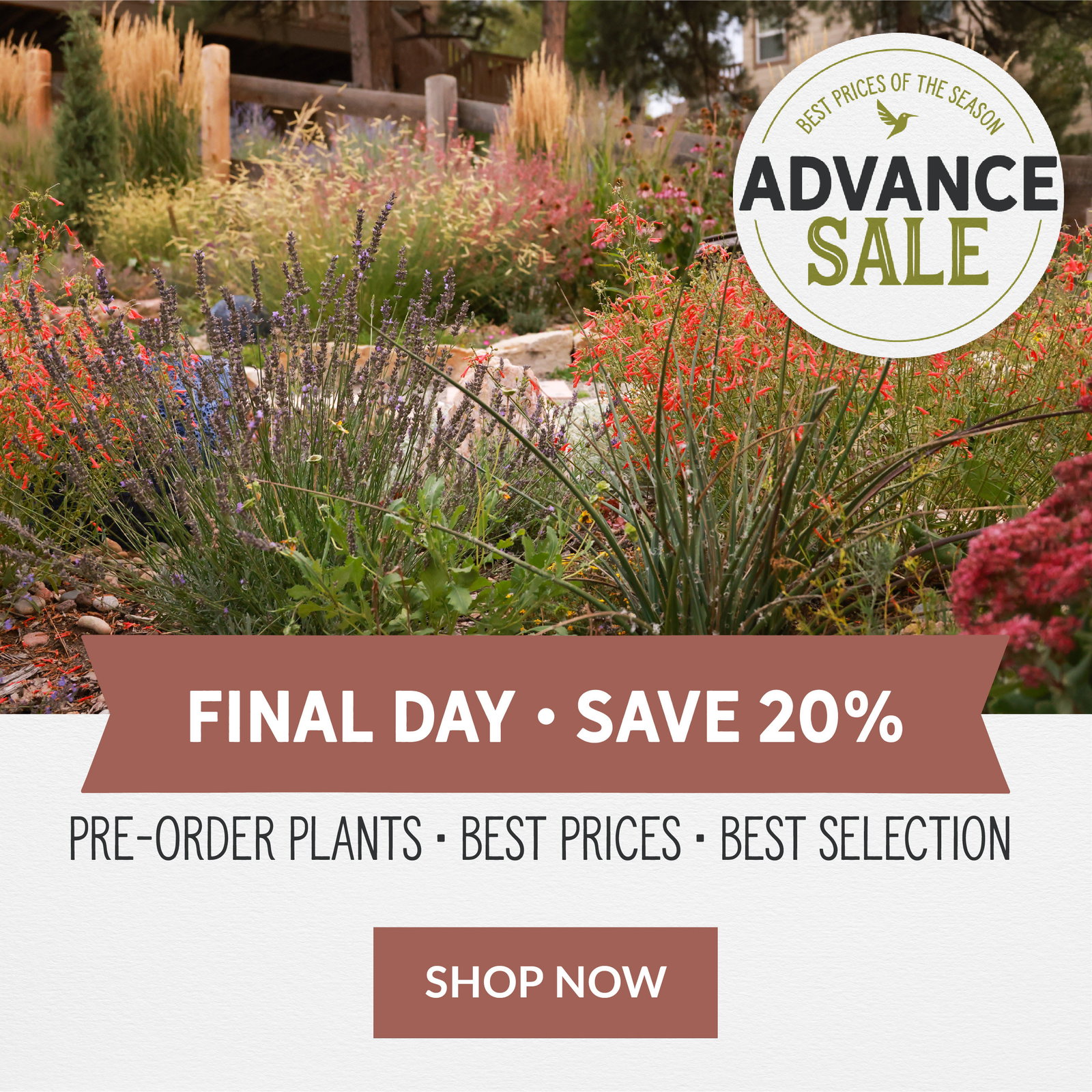Advance Sale Final Day Save 20%