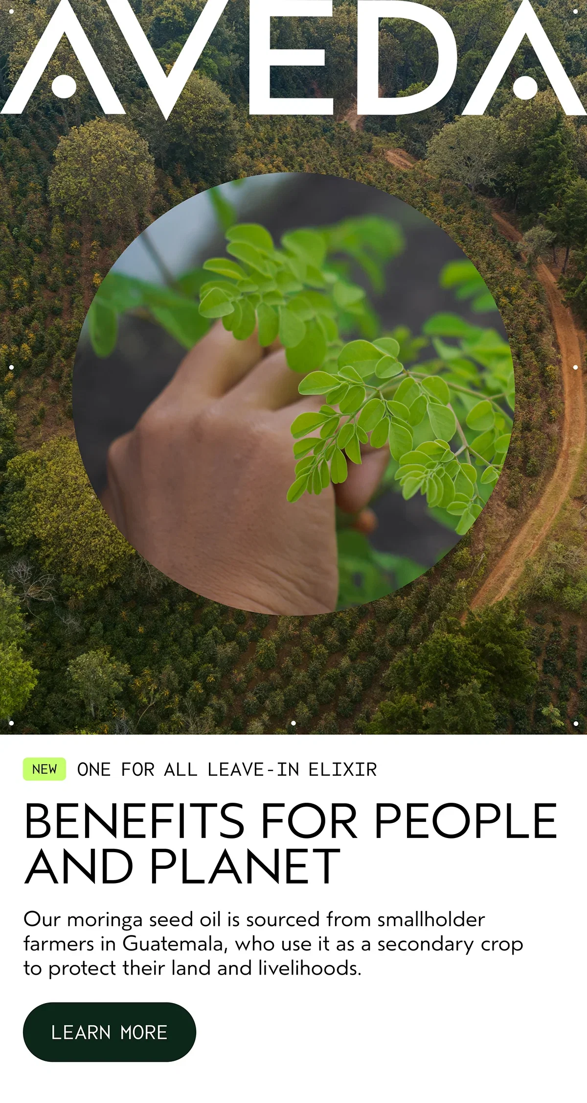 AVEDA | NEW ONE FOR ALL LEAVE-IN ELIXIR | BENEFITS FOR PEOPLE AND PLANET | Our moringa seed oil is sourced from smallholder farmers in Guatemala, who use it as a secondary crop to protect their land and livelihoods. | LEARN MORE