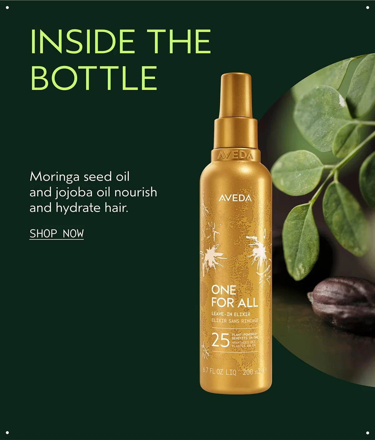 INSIDE THE BOTTLE | Moringa seed oil and jojoba oil nourish and hydrate hair. | SHOP NOW
