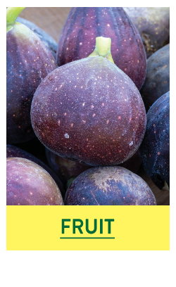 Fruit and Berry Plants