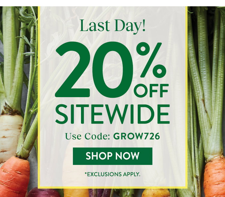 Fall Harvest Vegetables