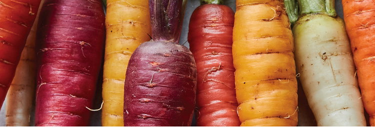 Fall Harvest Vegetables