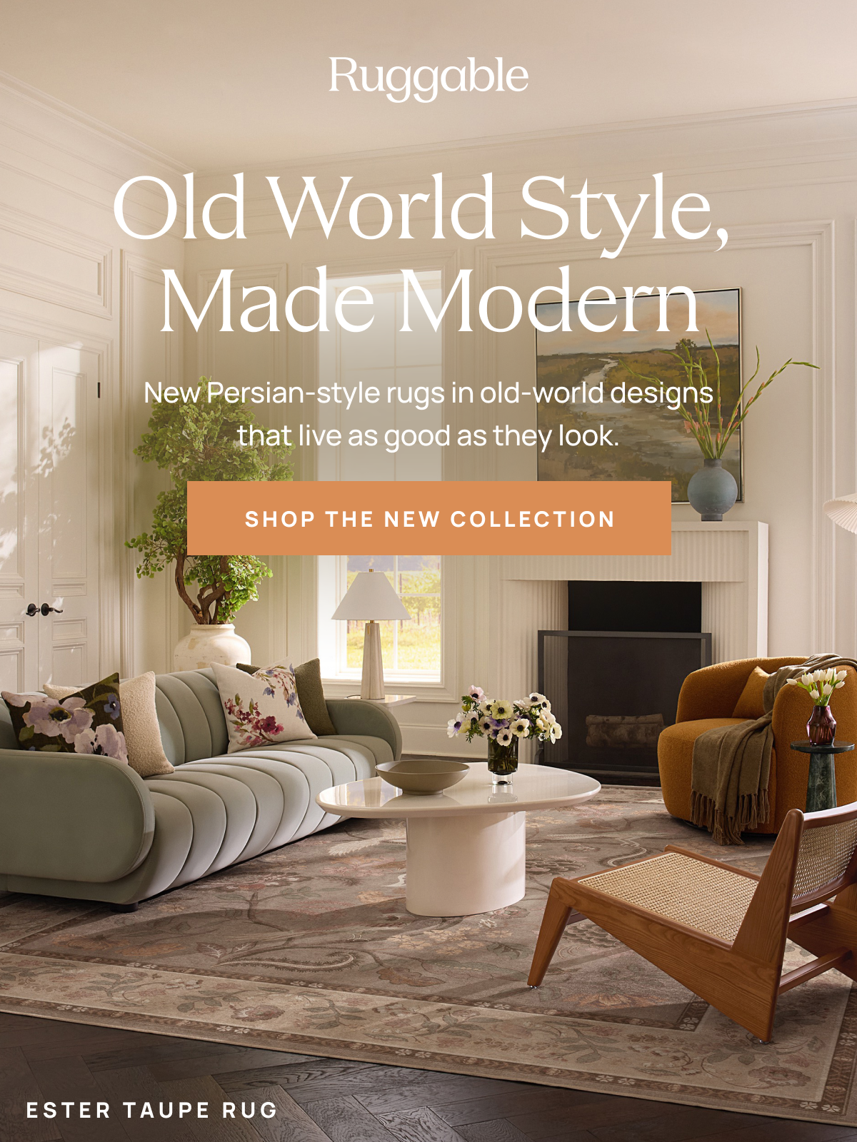 Shop The New Collection 