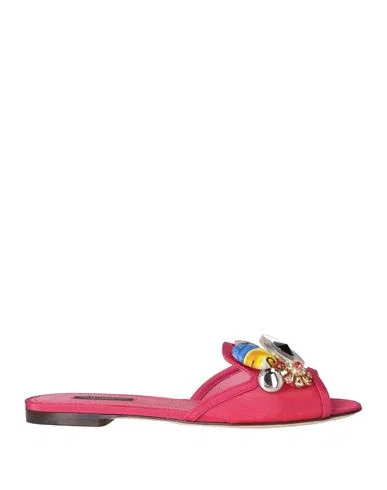 DOLCE&GABBANA
